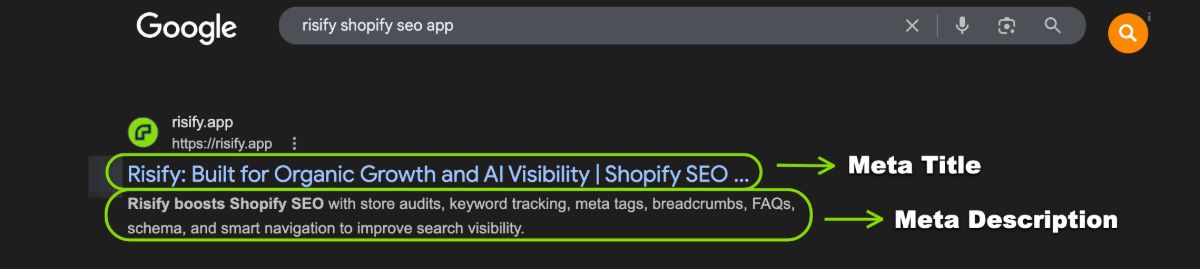 meta tags example